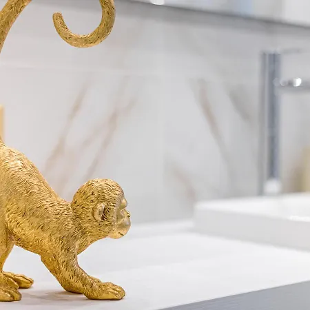 Apartman Jungle --- Vasca In *