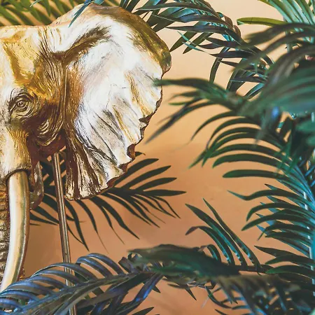 Jungle --- Vasca In Apartman *