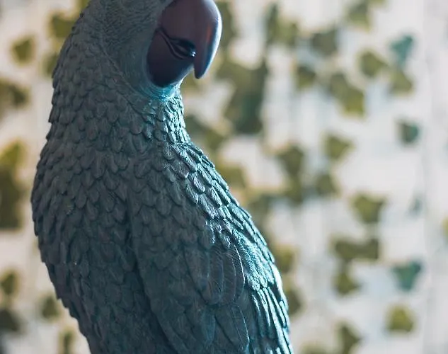 Jungle --- Vasca In *