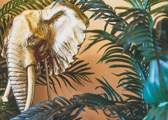 Jungle --- Vasca In Apartamento *