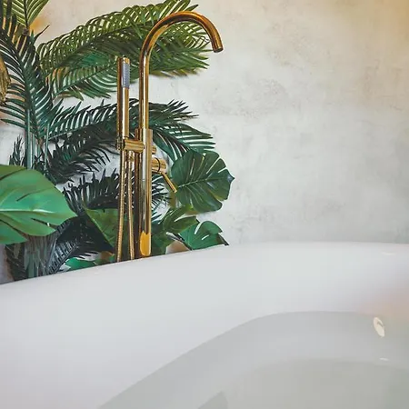 Apartment Jungle --- Vasca In
