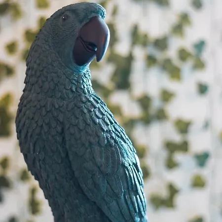 Jungle --- Vasca In *