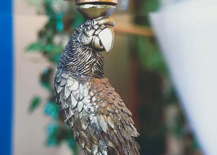 Apartmán Jungle --- Vasca In